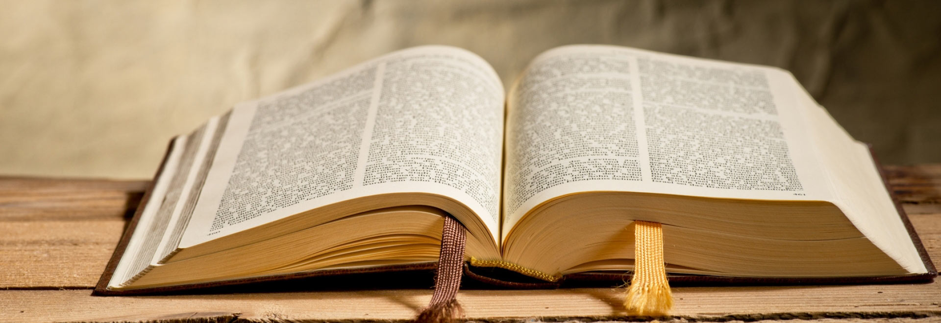 XIV Tydzień Biblijny - Niedziela Biblijna - 1.05.2022